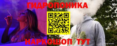 хмурый Новозыбков